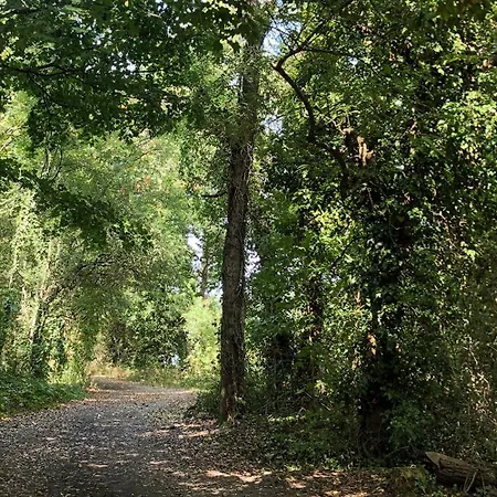 Hotel-musee Bagatelle Bed & Breakfast 3*