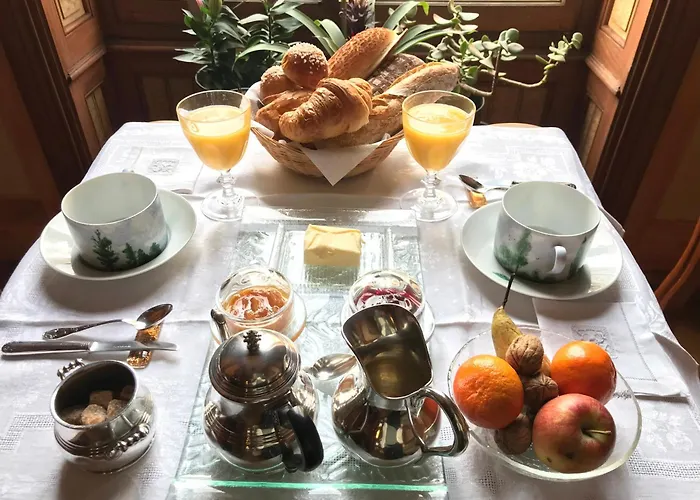 Hotel-musee Bagatelle Frühstückspension Irigny