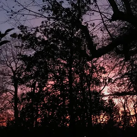 Frühstückspension Hotel-musee Bagatelle